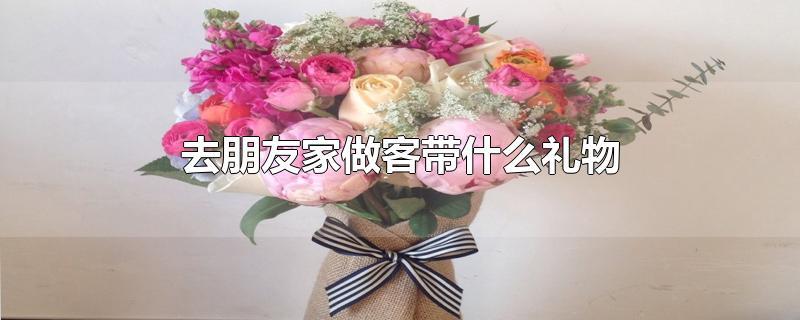 去朋友家做客带什么东 (拜访朋友时适合携带的礼物推荐)