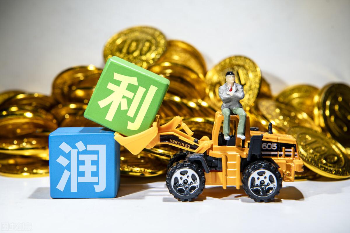 扣非净利润和净利润的区别是什么（哪种利润最重要）