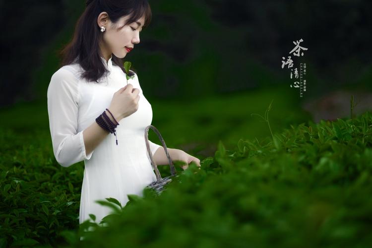 茶语人生经典句子有哪些（盘点喝茶的一些感悟语录）