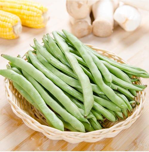 四季豆发芽出土所需时间（指导四季豆发芽和出土的时间统计）