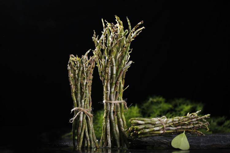为何不适合家中种植石斛（解释家中不适合种植石斛的原因）