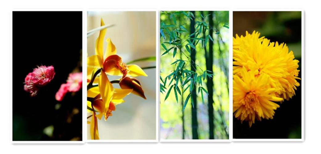 花中四君子的象征意义（解析花中四君子各自的象征意义）