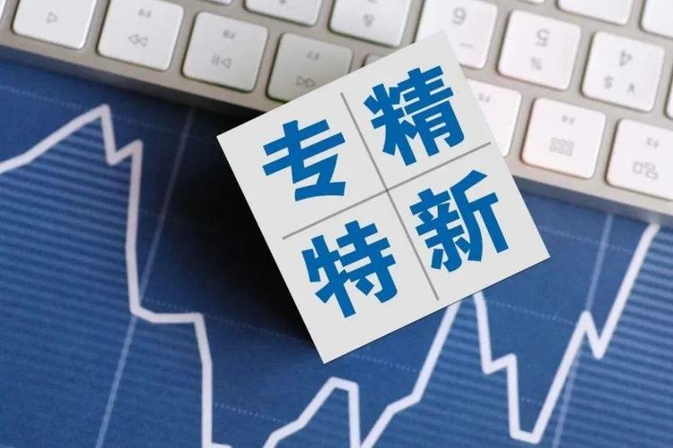 专精特新的定义和特点（介绍专精特新所指的概念和特征）