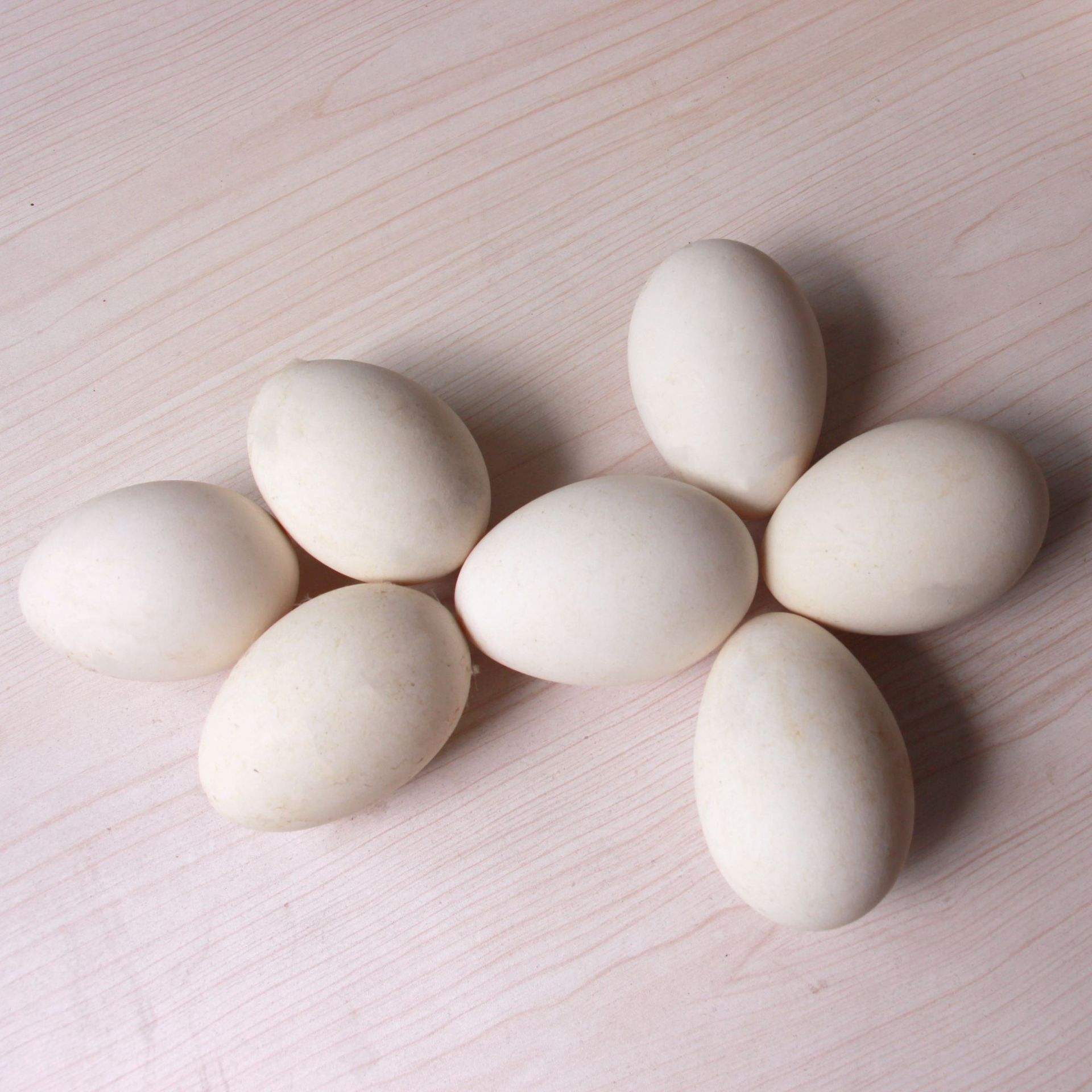 鹅蛋的营养价值及功效（探讨鹅蛋的营养成分和健康功效）