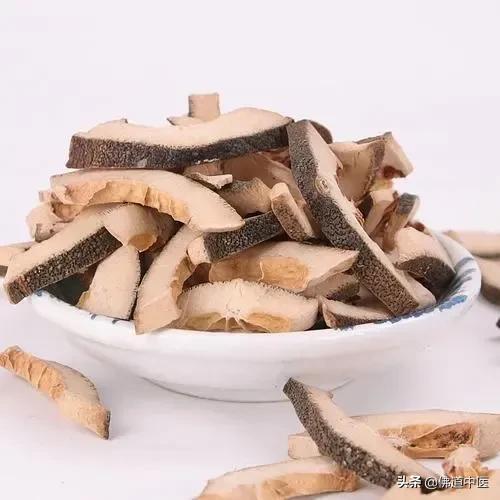 枳实与枳壳的差异解析（比较枳实和枳壳之间的异同）
