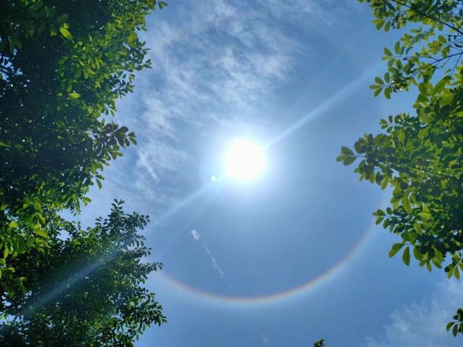 中午太阳的方向规律（解释中午太阳所处的方向规律）