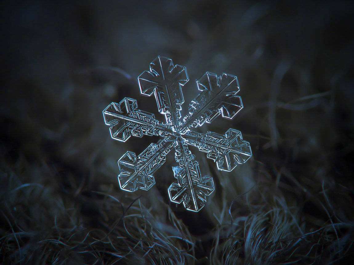 雪花的花瓣数目（了解雪花所具有的花瓣数量）