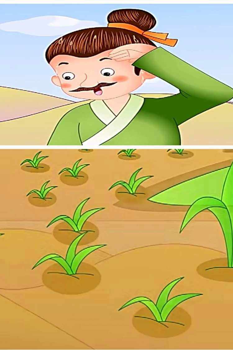 拔苗助长寓意深远（讲述拔苗助长的故事和寓意）