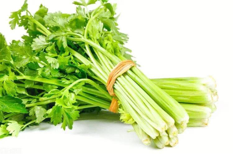 抗炎食物推荐大全（介绍具有抗炎作用的食物种类）