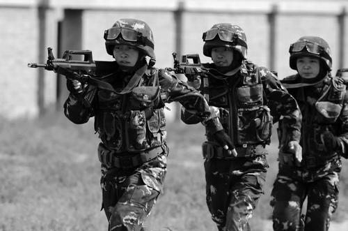特战旅是什么兵种（特种部队中的特战旅是属于哪个兵种）