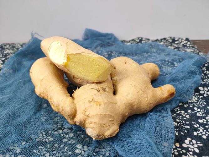 热性食物清单（列举常见的热性食物种类和特点）