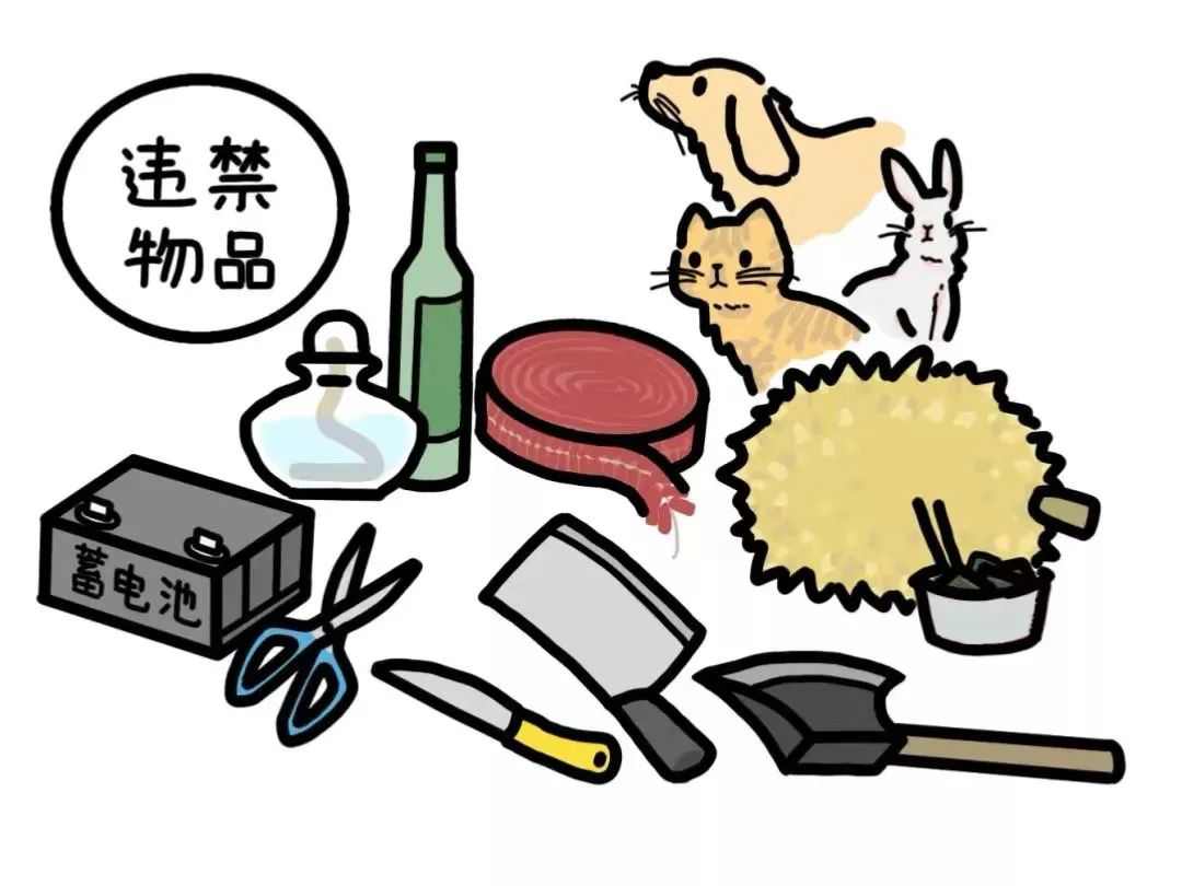 火车禁止携带物品详解 (了解乘坐火车时禁止携带的物品)