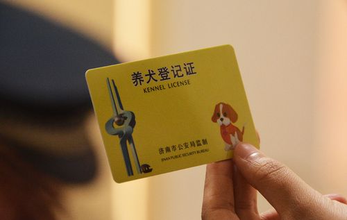 办理狗证的具体地点（指导办理狗证的具体办理地点和程序）