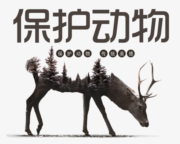 保护动物的措施（探讨保护动物的方法和措施）