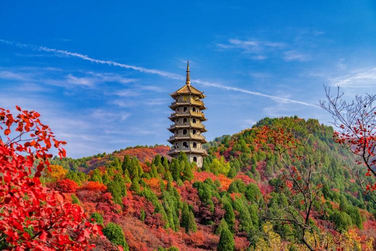 山东济南好玩的景点推荐（山东济南的热门旅游景点推荐）