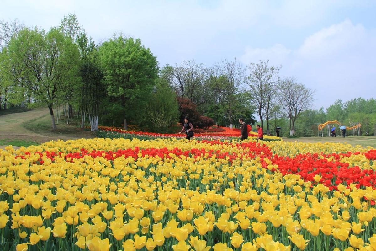 合肥旅游景点排行榜（合肥最受欢迎的旅游景点排行）