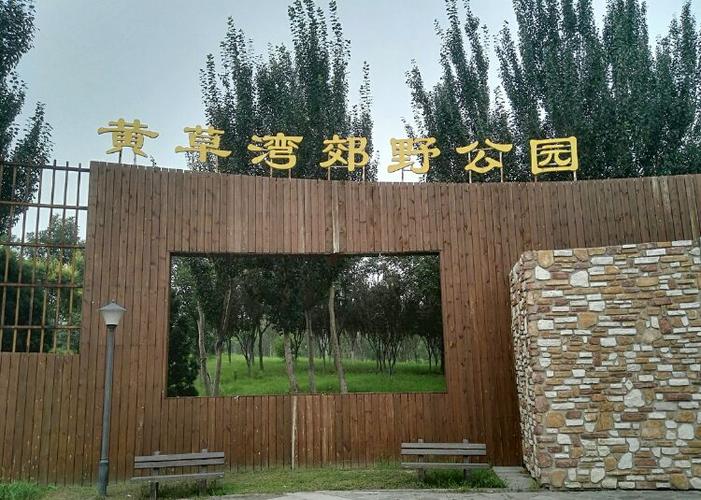 中卫旅游十大景点（推荐中卫市值得游览的十大景点）