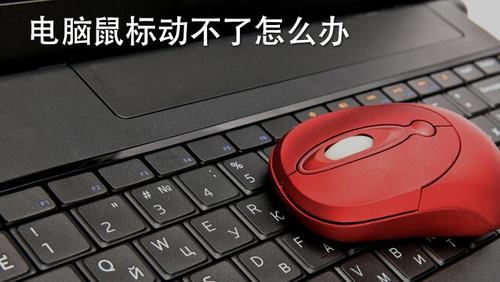 电脑鼠标没有反应（电脑鼠标无法正常工作的处理方法）