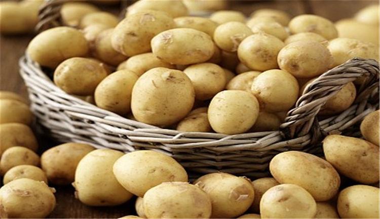 土豆的性质和饮食搭配（解析土豆的性味和适宜搭配的食材）