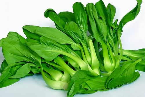 油菜的收割时间（油菜的最佳收割时机）