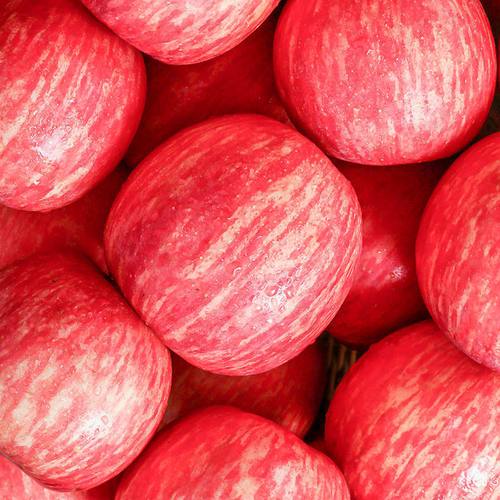 最佳的条纹红富士苹果（最好的条纹红富士苹果品种介绍）