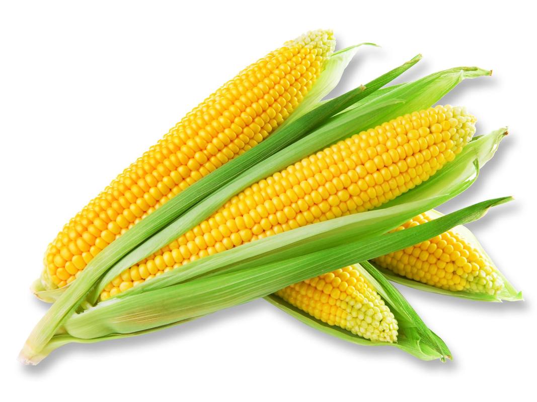 玉米的常温保存时间（玉米在室温下可以保存多久）
