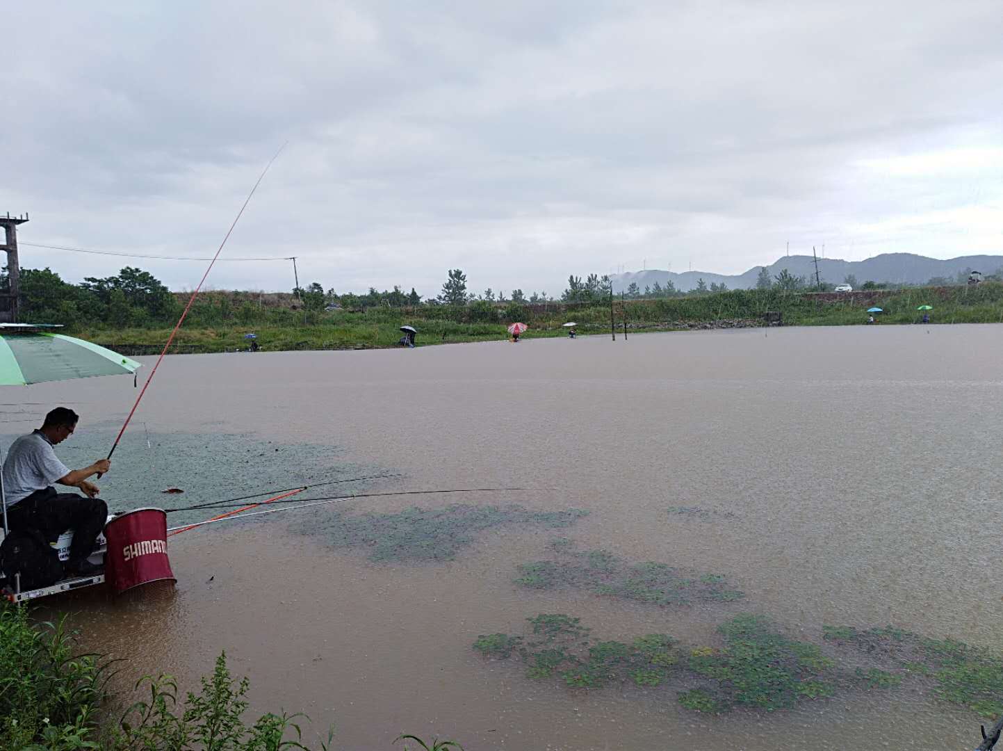 刚下完雨好钓鱼吗（雨后是否是钓鱼的好时机）