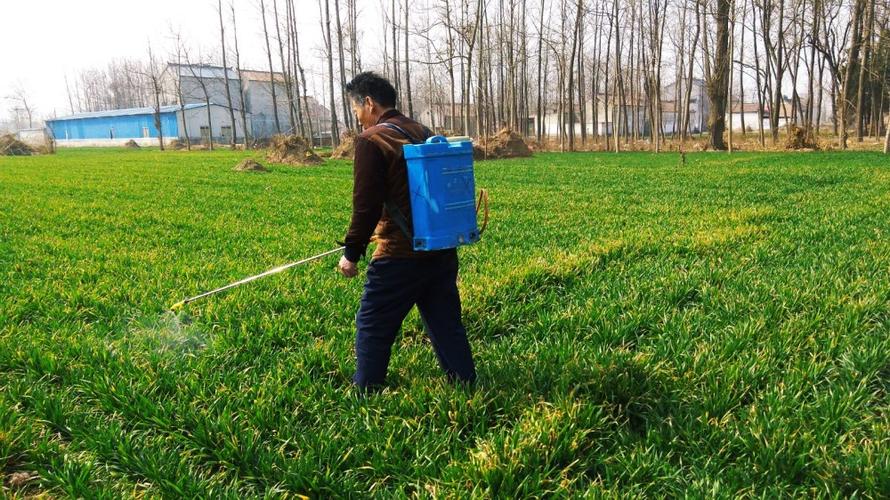 果园除草剂中哪种效果较好 (果园除草剂的最佳选择)