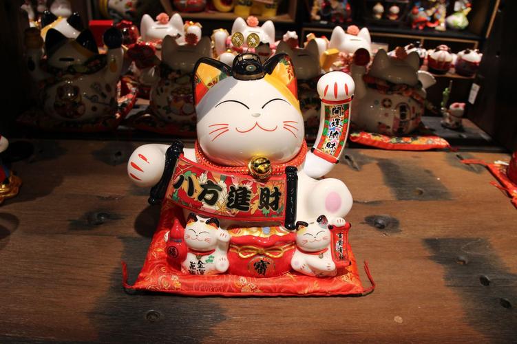 猫来财还是猫来穷（猫进屋是好还是坏的预兆）