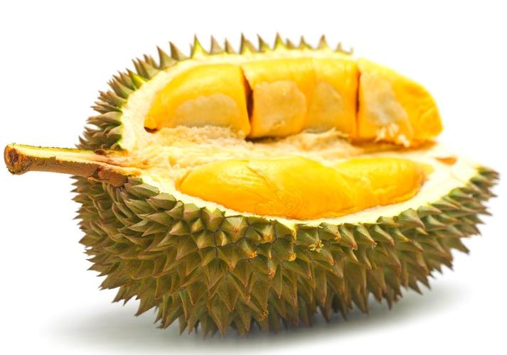 榴莲有点硬是不是没熟（榴莲果肉硬是否表示未成熟）