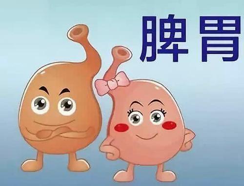 脾胃虚弱调理的最快方法（介绍调理脾胃虚弱的快速方法和建议）