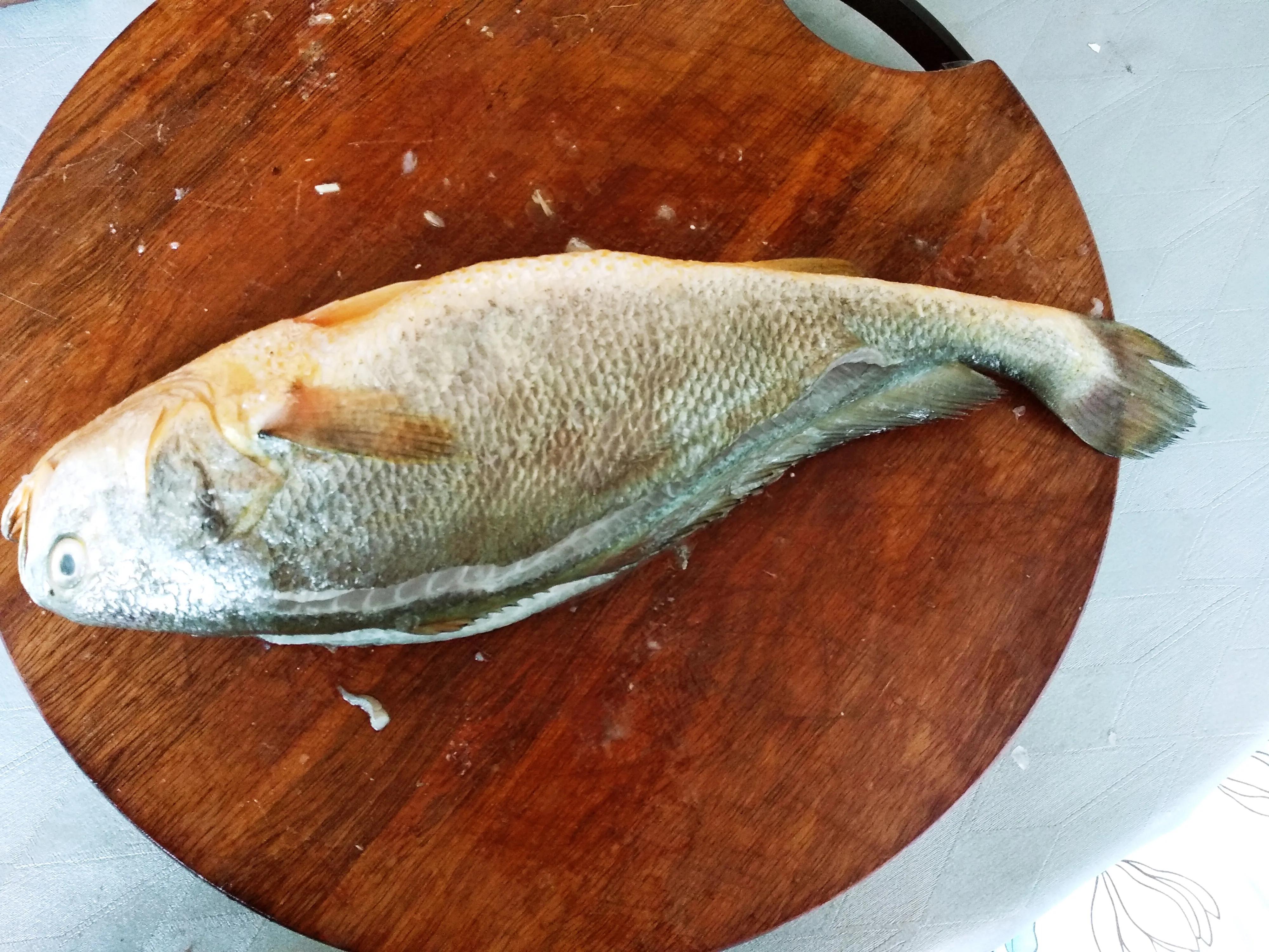 小黄鱼是海鱼还是淡水鱼（小黄花鱼和大黄花鱼的区别）
