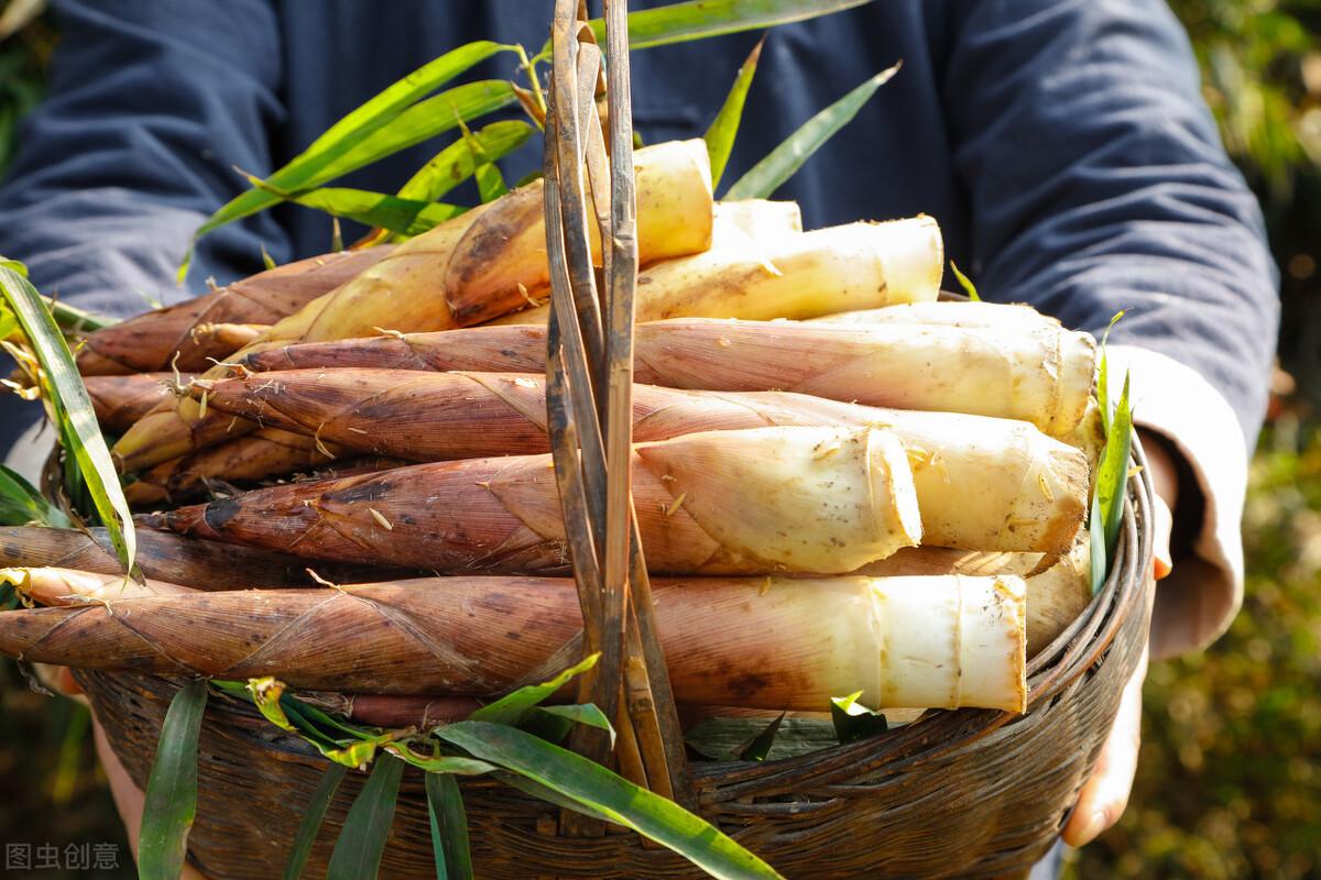 鲜笋怎么处理才不涩味（如何去除春笋的苦味和涩味）