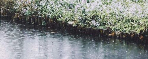 北方雨季是几月份（北方雨季出现的月份是几月份）