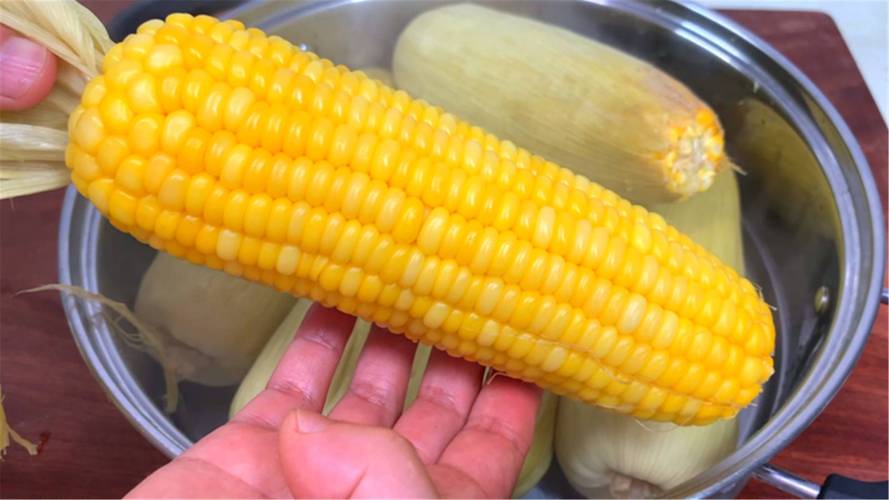 玉米含糖量多少（玉米中的糖分含量解析）