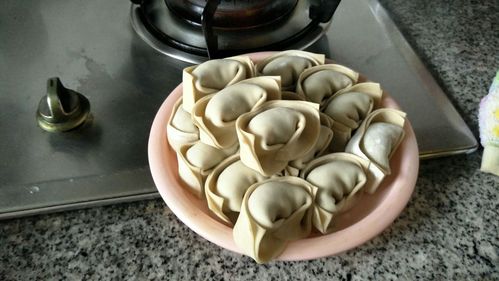 包馄饨包（包制馄饨的技巧）