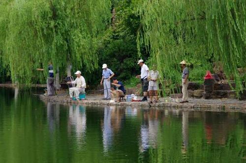 夏天突然降温第二天好钓鱼吗（夏季突然降温后第二天是否适合钓鱼）