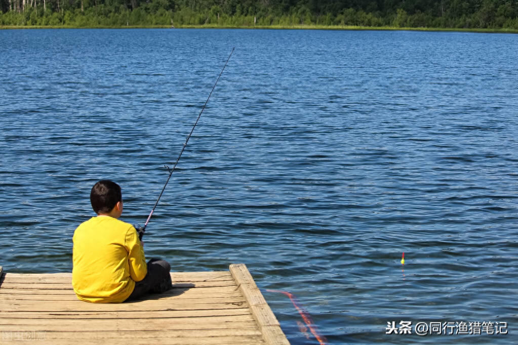 东南风适合钓鱼吗（东南风对于我们日常钓鱼有没有影响）