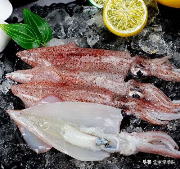 鱿鱼是鱼类吗（体型宽大的和细小的鱿鱼有什么区别）