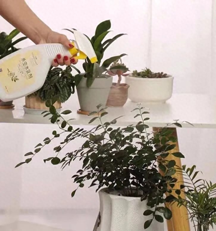 家庭自制花卉杀虫剂（教你四种家庭自制环保杀虫水的方法）