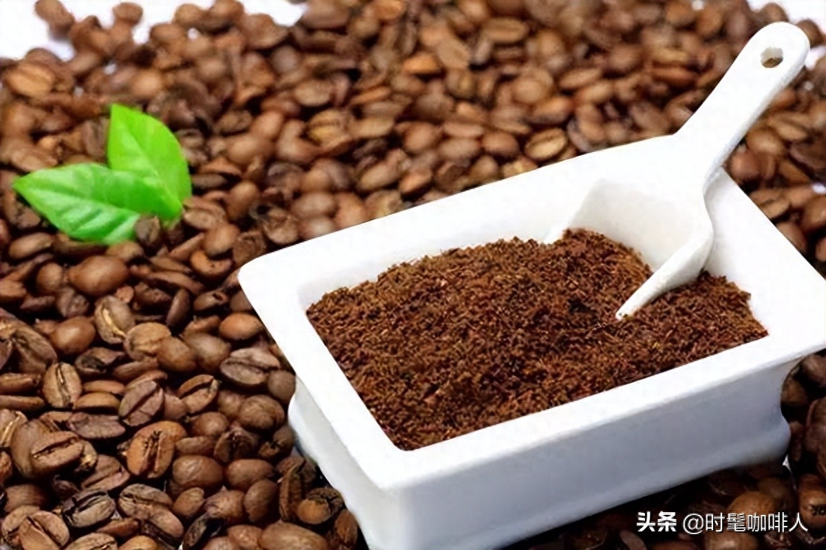 咖啡渣的肥料应用（咖啡渣作为肥料需要怎么处理呢）