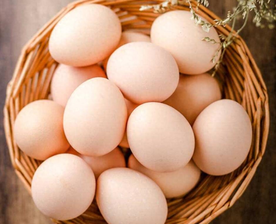 土鸡蛋和普通鸡蛋的区别（土鸡蛋的营养价值真的更高吗）