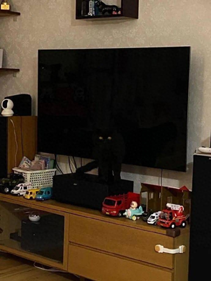 家里养黑猫好不好（家里养黑猫的优点和缺点有哪些）