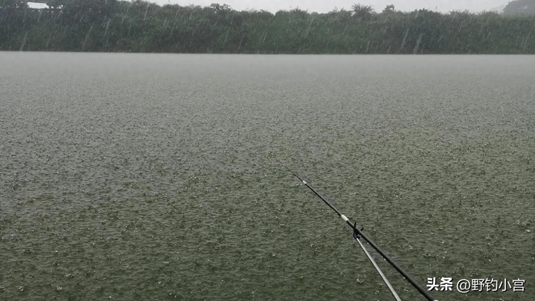 雨后钓鱼好钓吗（哪个季节大雨过后是作钓的好时机）