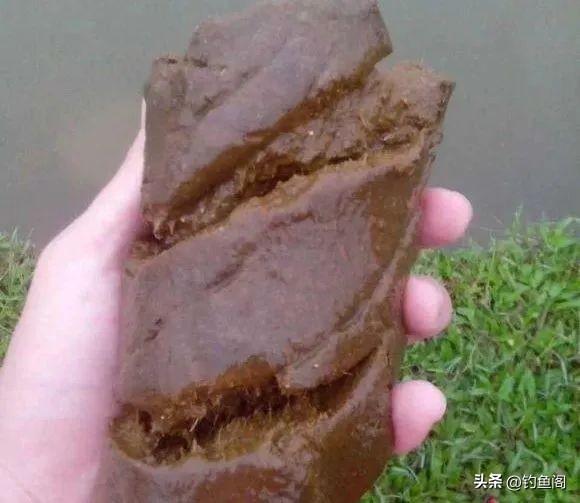 钓鲤鱼用什么打窝发窝快（钓鲤鱼用哪种窝料效果好）