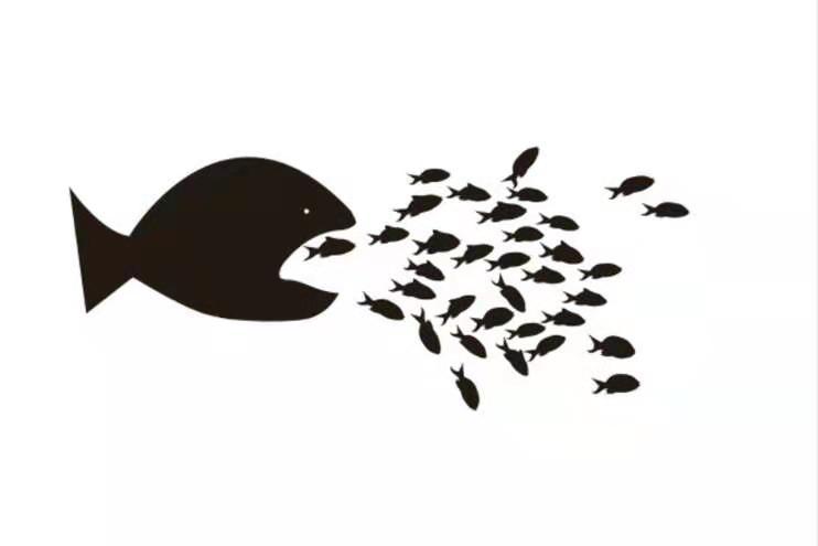 金鱼和孔雀鱼能一起养吗（为什么可以把金鱼和孔雀鱼共养）