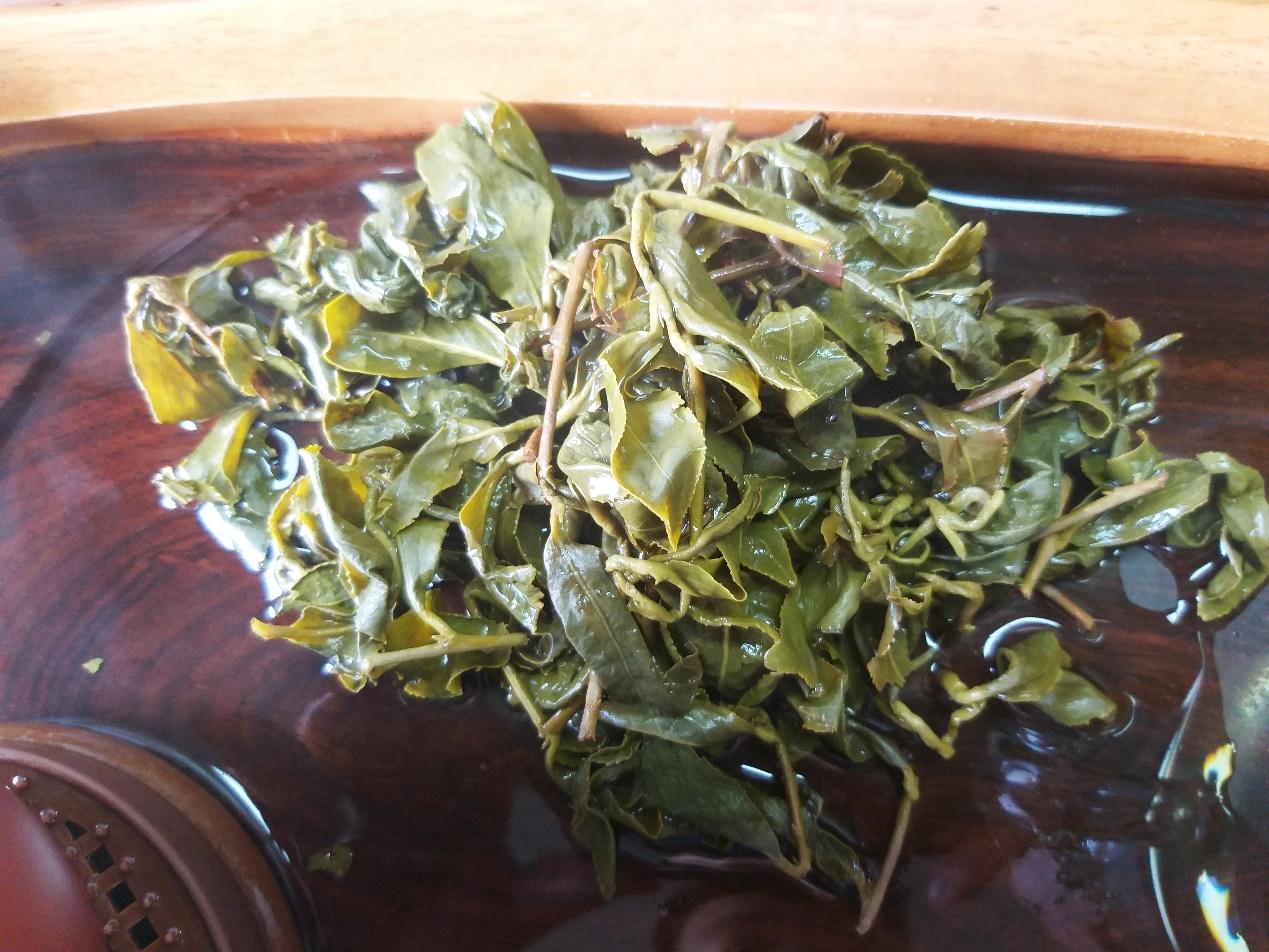 台湾高山茶属于什么茶（为什么台湾高山茶都带茶梗）