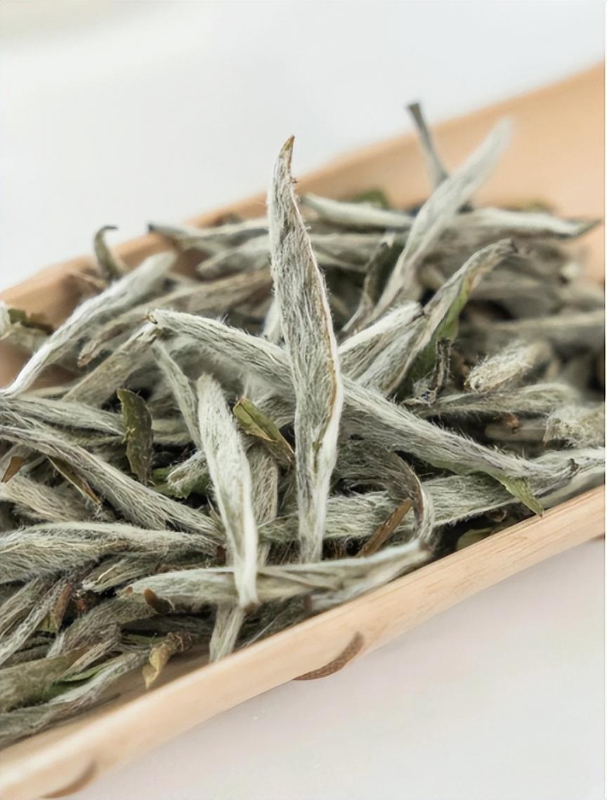白豪银尖是什么茶系（白毫银针茶的品质特点是什么）