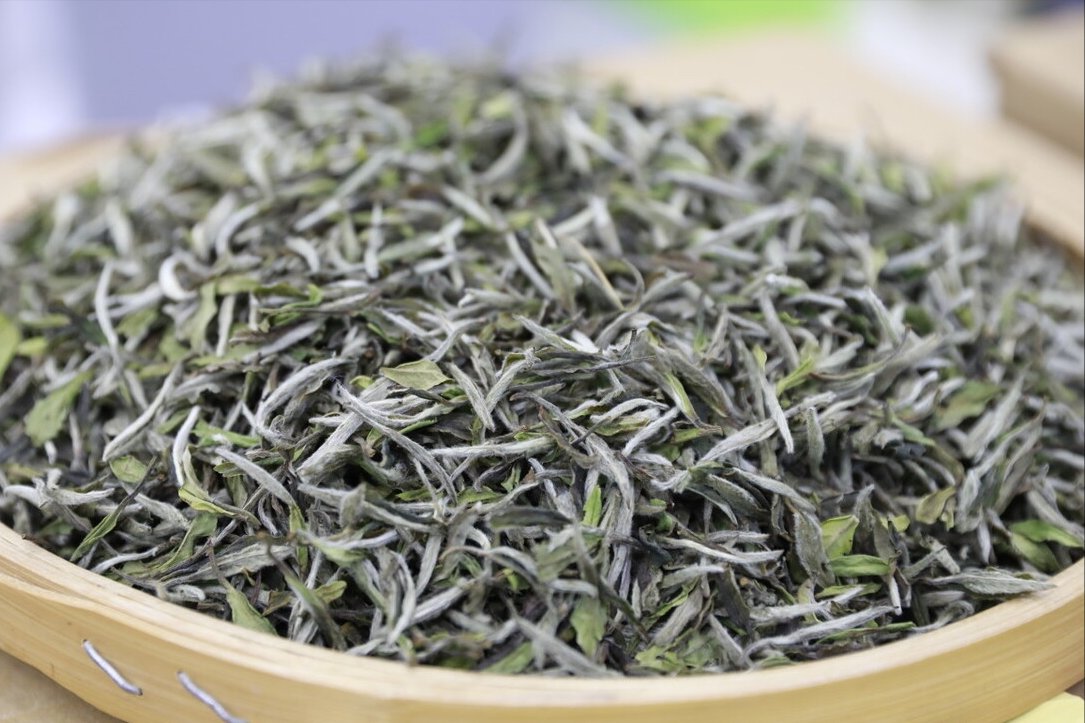 白茶能存放多少年（放了3年的白茶还能继续饮用吗）