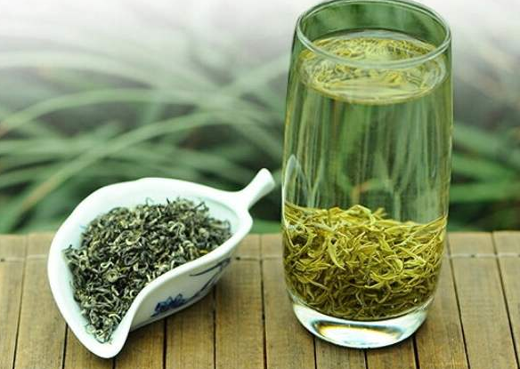 信阳毛尖多少度水泡茶好（为什么毛尖茶会变得浑浊）